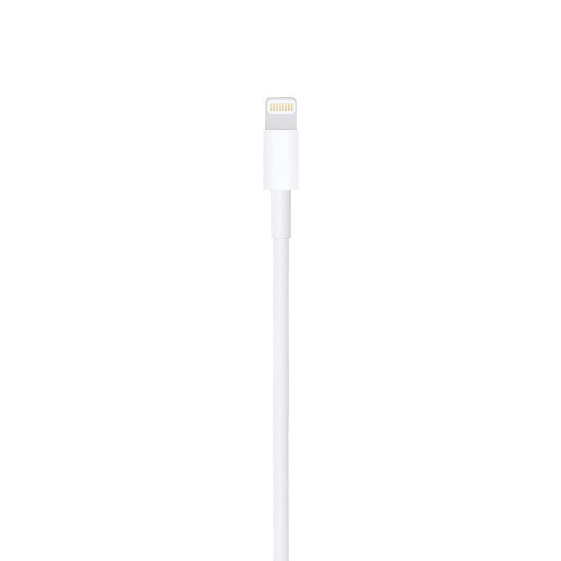 Cavo da USB a Lightning 1m (Apple) - Nuovo