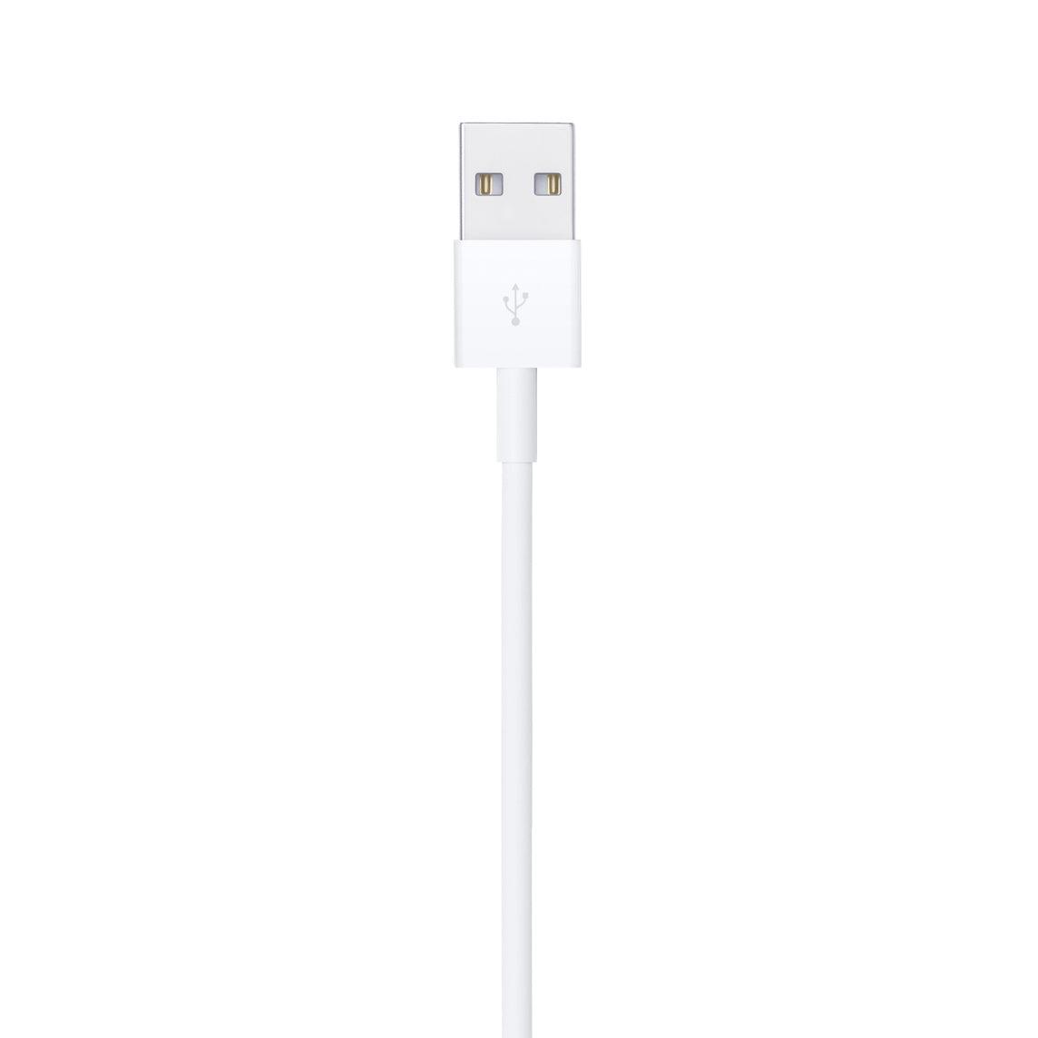 Cavo da USB a Lightning 1m (Apple) - Nuovo